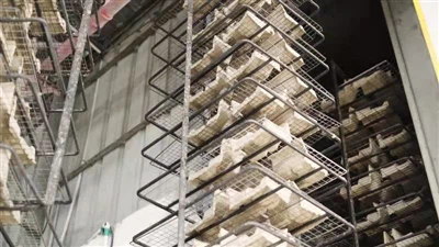 Perspective pentru industria ambalajelor din Marea Britanie: tendințe, provocări și oportunități ...